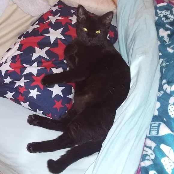 Profile Picture of Kelsey Liedka (@kelseyrl712) on Poshmark