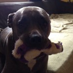 Profile Picture of Shawn Sabo (@sabu710) on Instagram