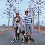 Profile Picture of ✨ᴄᴇʟɪɴᴇ✨ (@celine_lu_0102) on Instagram