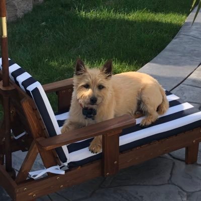Profile Picture of Zachary Carder (@carderzach2020) on Twitter