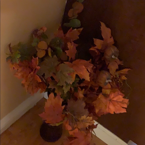 Profile Picture of Isgoug Keledjian (@keledjian) on Poshmark