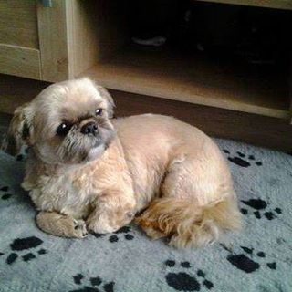 Profile Picture of Albert Speelman (@albert.speelman.1) on Facebook