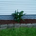 Profile Picture of Nick Lidgett (@nick.lidgett.7) on Facebook