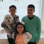 Profile Picture of Joe Picone (@j.picone11) on Instagram