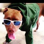Profile Picture of Victor Andrew Lindo (@stackss_11) on Instagram