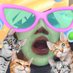 Profile Picture of Marilyn Haley (@donkeydonkeygir) on Twitter