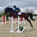 Profile Picture of Hannah Jarvis (@hannah.t.jarvis) on Instagram
