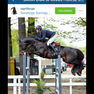 Profile Picture of Charles Hanley (@hanleyshorses) on Instagram