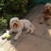 Profile Picture of John Petherbridge (@john.petherbridge.75) on Facebook