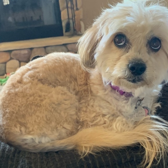 Profile Picture of Kailee Stephens (@kailee_stephens) on Poshmark