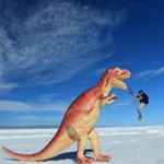 Profile Picture of Michael Buttler (@buttler17) on Instagram