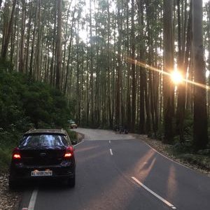 Profile Picture of Mohammed Shafeeq (@Mohamme71572250) on Twitter