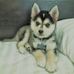 Profile Picture of Ariel Childress (@ariel.childress.7) on Facebook