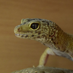 Profile Picture of Liam Martin (@martin250691) on Flickr