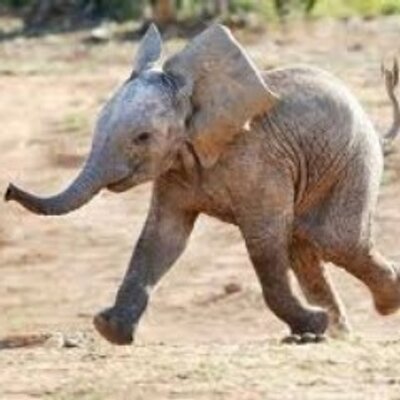 Profile Picture of Amy Duane (@@apduane) on Twitter