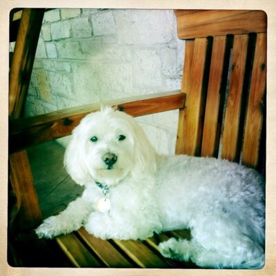 Profile Picture of Michaela Farrell (@msdayla33) on Twitter