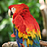 Profile Picture of Cley71 (@cley71) on Flickr