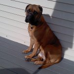 Profile Picture of Barb Jason Fazio (@bmaher15) on Instagram