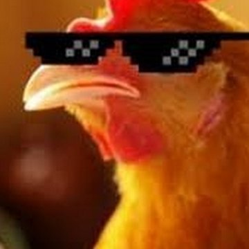 Profile Picture of Brian O´Hara (@BrianOH15991427) on Twitter