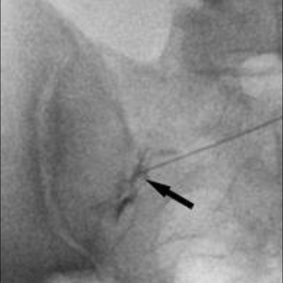 Profile Picture of Anthony Tiberio (@red4203) on Poshmark