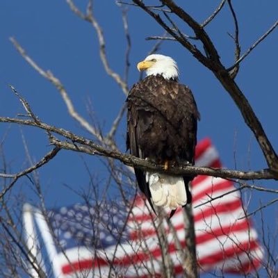 Profile Picture of Scott Pate (@Dude_Bro75) on Twitter