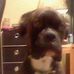 Profile Picture of Derek Glancy (@derek.glancy.9) on Facebook