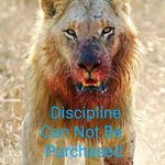 Profile Picture of Terell Pearson (@tjpjones1) on Instagram