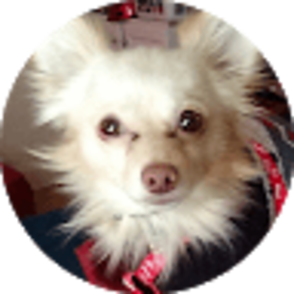 Profile Picture of Raito Raito (@raitotc) on Poshmark