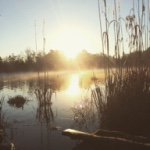 Profile Picture of Caleb Newman (@calebnewman13) on Instagram