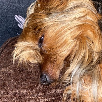 Profile Picture of Paula Mooney (@PaulaMo88199411) on Twitter
