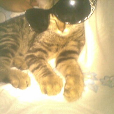 Profile Picture of Josue Coreas (@josuecoreas) on Twitter