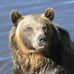Profile Picture of Robert D Fontaine (@robert.d.fontaine) on Facebook
