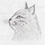 Profile Picture of Christopher Hooper (@viethooper) on Flickr