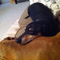 Profile Picture of Scott Mcfarland (@scott-mcfarland-17) on Quora