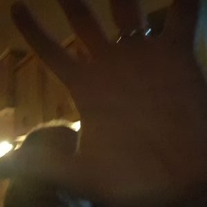 Profile Picture of Steven Huisman (@TrophySteve) on Twitter