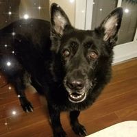 Profile Picture of Kelly Mcivor (@kelly-mcivor-4) on Quora