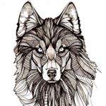 Profile Picture of Eric Odom (@elowolf93) on Instagram