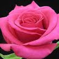 Profile Picture of Taylor Grimm (@taylor-grimm-14) on Quora