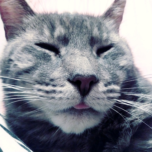 Profile Picture of Joann Lamusga (@joannlamusga) on Poshmark