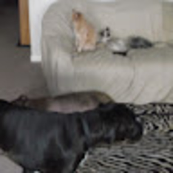 Profile Picture of A Martin (@sandaboys) on Poshmark