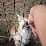 Profile Picture of Alex Neville (@alex_neevill13) on Instagram