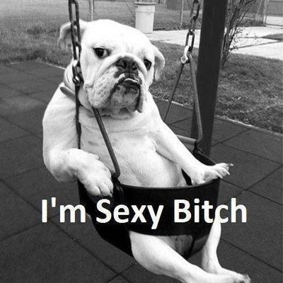 Profile Picture of Xing Tong (@xingtong4) on Twitter