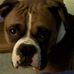 Profile Picture of Stacie Mullins (@stacie.mullins.526) on Facebook