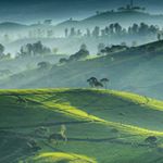 Profile Picture of Lessie Coleman (@lessie_coleman_42) on Instagram