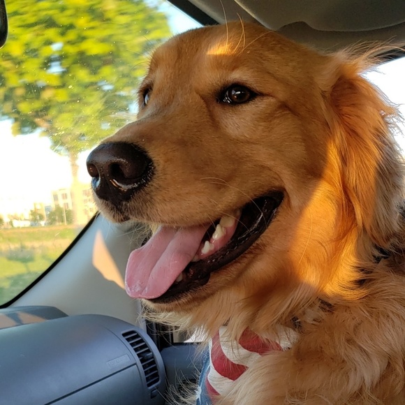 Preston Hennager - Poshmark Profile Picture of Preston Hennager (@prestonhennager) on Poshmark