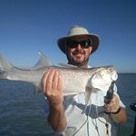 Profile Picture of Steve Molloy (@steve.molloy.965) on Instagram