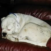 Profile Picture of John Jellema (@r1100gsjj) on Youtube