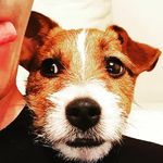 Profile Picture of Jack Russell Crowe (@vipuskaykrakena) on Instagram