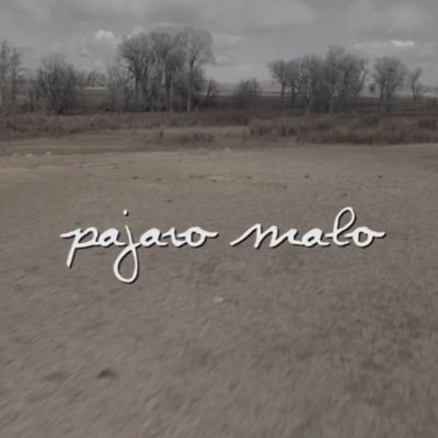Profile Picture of Jeffrey Lars Knudsen (@pajaromalo_film) on Twitter
