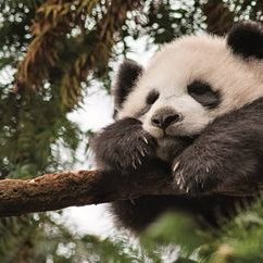 Profile Picture of Taner Saraç (@TanerSara5) on Twitter